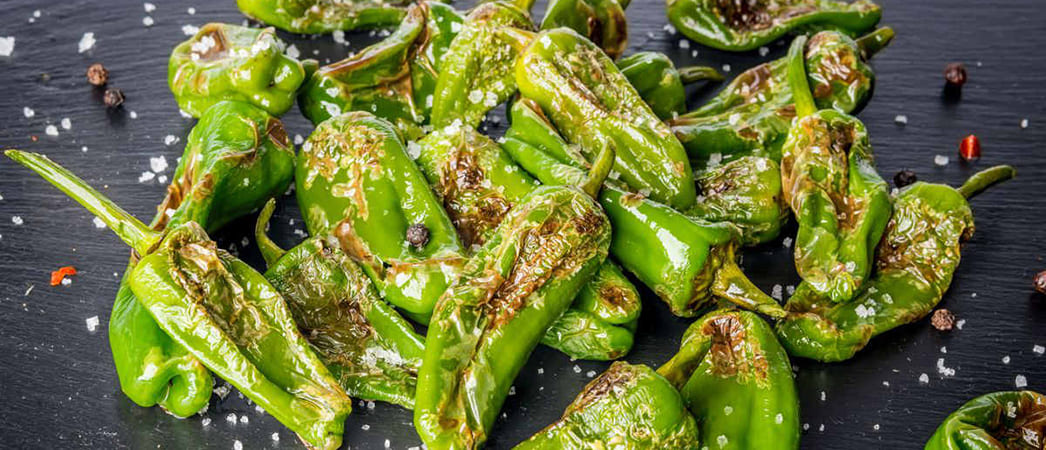 Перцы падрон