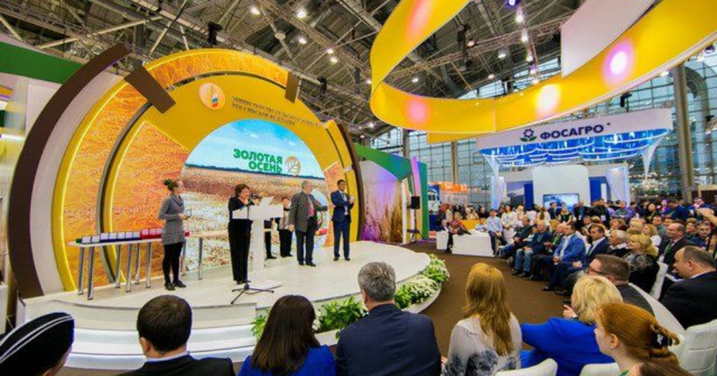 Золотая Осень