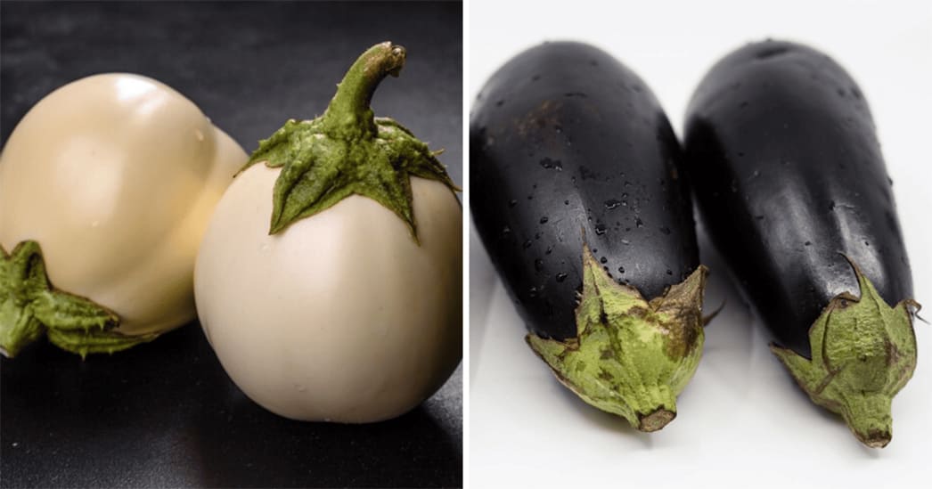 Баклажан до селекции