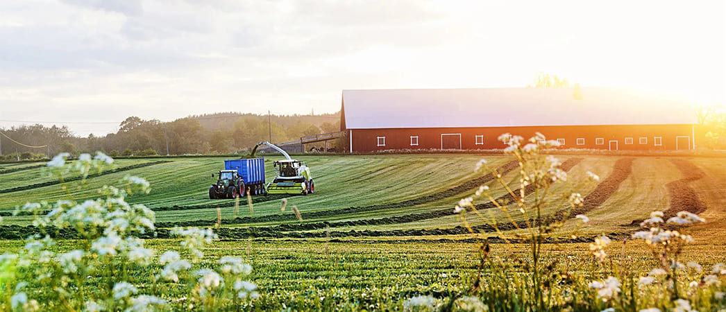 Фермерское хозяйство в Норвегии