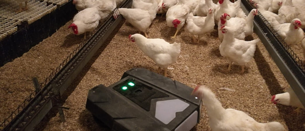 Робот T-MOOV для отпугивания кур, уток и индеек