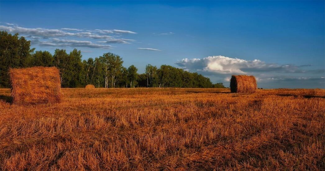Сельхозугодья Беларуси