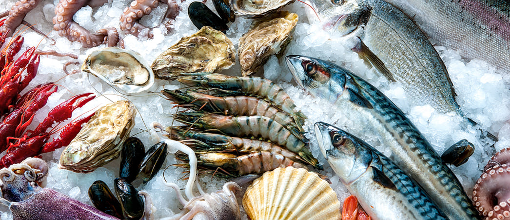 Замороженные рыба и морепродукты