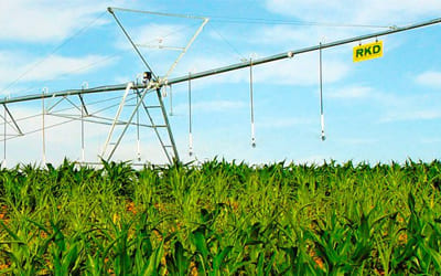 Круговая RKD