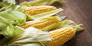 Ткань из кукурузы