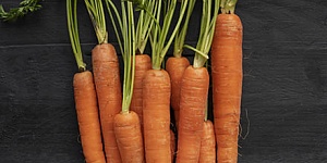 ТОП-5 сортов моркови с огромным урожаем, которые на практике показали результат